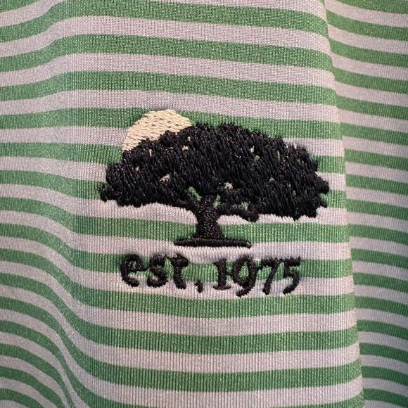 FootJoy Polo Shirt Mens Large Green Blue Striped Golf Performance Est 1975 - Picture 5 of 12